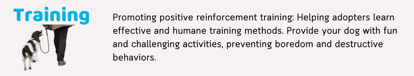 Dog Rescue Solutions. Positive Solutions Step-by-step positive reinforcement training, courses and products