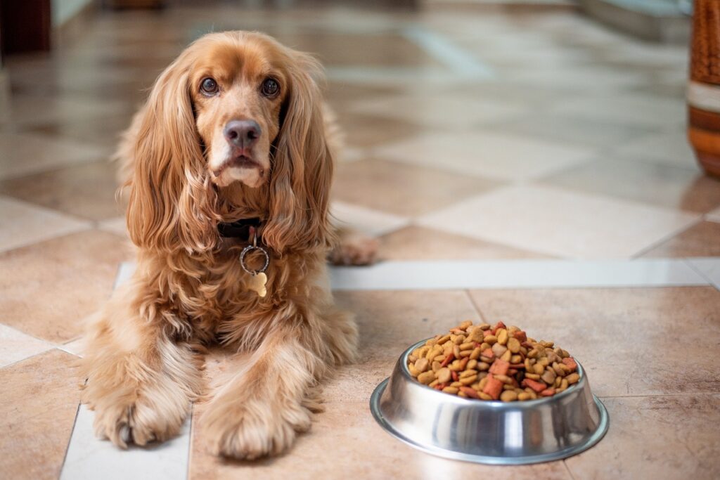 40 Foods and Items Dangerous for Dogs