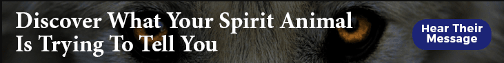 Discover What Your Spirit Animal Is Trying To Tell You. Dog Rescue Solutions, Stop dog bitting, jumping, barking, anti bark collar, puppy house training, stop dog or puppy chewing,