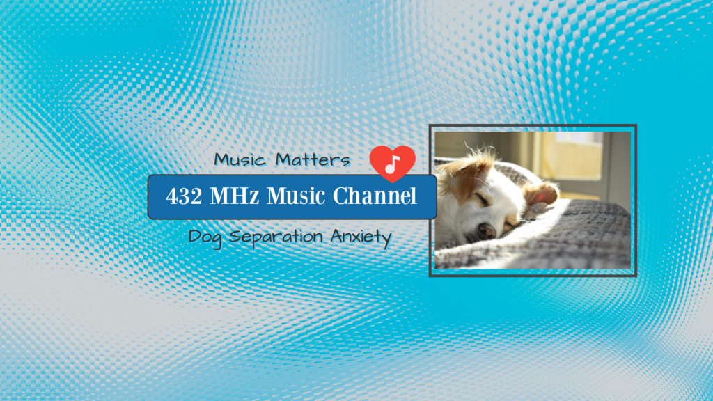 Dog Rescue Solutions. Dog music tv Positive Training Your Dog To Listen To You. separation anxiety, dog tv, relaxing music, step-by-step positive reinforcement training, courses, products and Adoption with Training your dog.